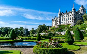 schottische highlights