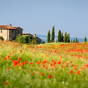 Toskana_AdobeStock_33222871©Grischa Georgiew