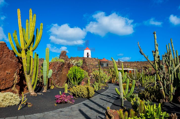 Impressionn zu Mein Schiff Wochenendangebot - Mein Schiff Relax - Kanaren mit Madeira