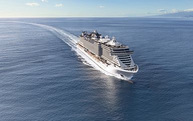 msc seaview