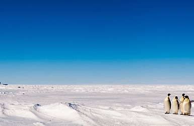 Expedition Antarktis - Südpolarkreis intensiv