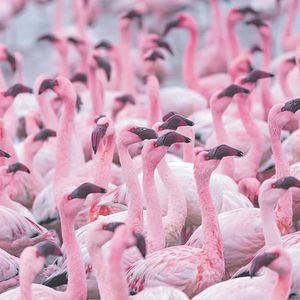 Singapur Gardens By The Bay