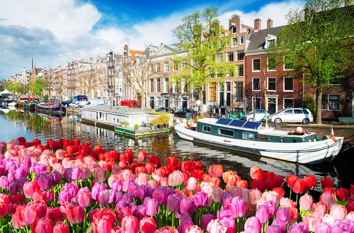 Impression zu A-ROSA Sommer 2026 - A-ROSA SENA - Rhein Erlebnis Amsterdam & Rotterdam