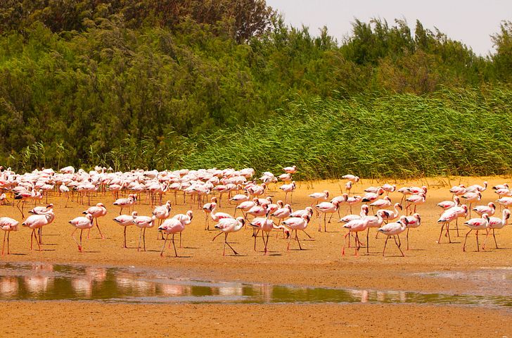 Impression zu Transreisen 2026 Wunschtarif - Transozean von Kapstadt bis Mallorca