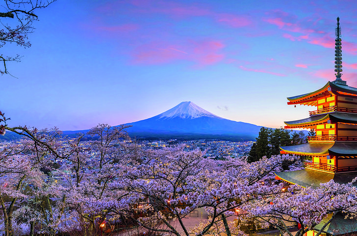 Impressionn zu AIDA Winter 2026/27 - AIDAstella - Große Japan-Rundreise zur Frühlingsblüte