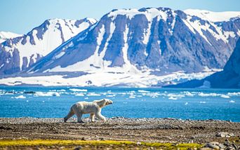 abwechslung im hohen norden