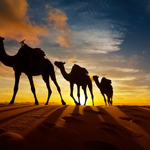 Abu Dhabi, Sheikh Zayed Moschee, Emirate