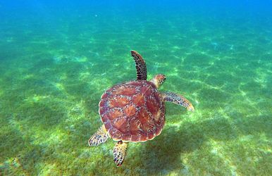 karibische inselträume und mittelmeerzauber