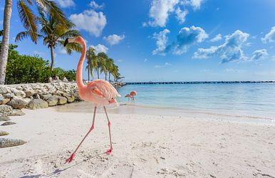 karibische inselwelten