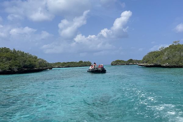 Unterwegs mit den Zodiacs