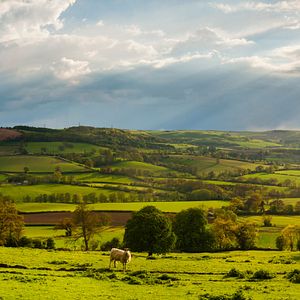 Cotswolds England Britische Inseln