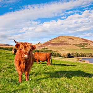 Edinburgh Schottland Großbritannien