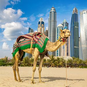 Celestyal Journey_Allgemein & Bilder_außen_©Celestyal Cruises