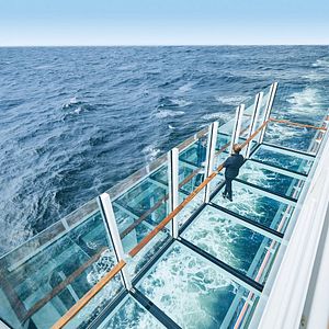 Lappland Schlittenhunde