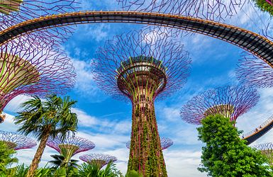 Garden by the Bay in Singapur