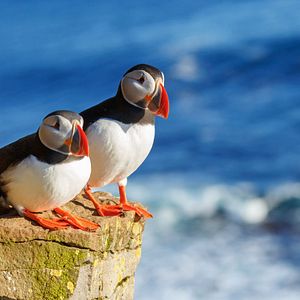 HANSEATIC spirit_Allgemein & Bilder_außen