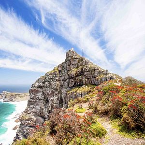 Cape Point Kap der Guten Hoffnung Kapstadt Südafrika
