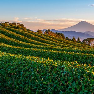 aussicht-mount-fuji