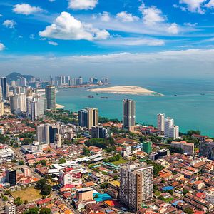 Karibik Palme mit Liegematte