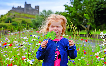 großbritannien & irland