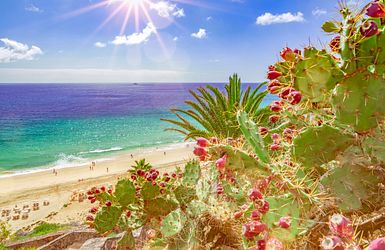 Strand auf Fuerteventura