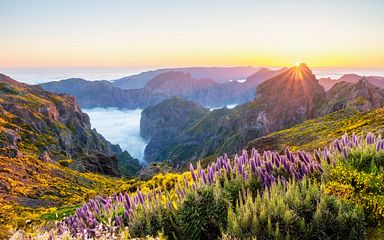 kanaren, madeira & marokko