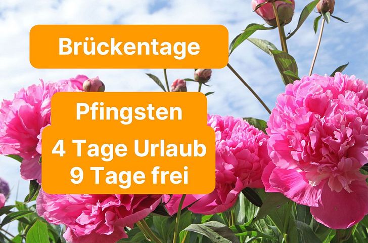 Impressionen zu Brückentags-Special 2027 - Pfingsten