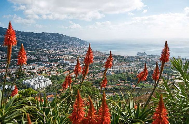 Impression zu Winter 25/26 Besttarif - MSC Musica - Inselzauber im Atlantik