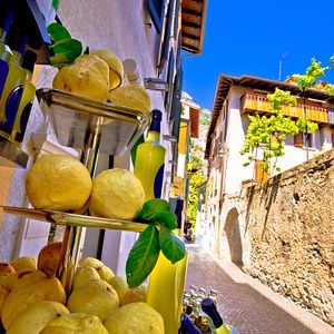 Limone sul Garda Gardasee Italien