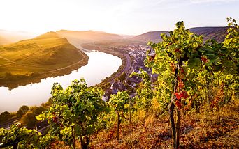 genuss und wein auf rhein und mosel