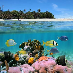 Horizon-Ocho-Rios-High-Res-0009-BlueHull