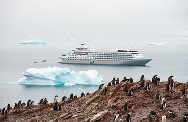 Abenteuer im Eis: Antarktische Exkursion