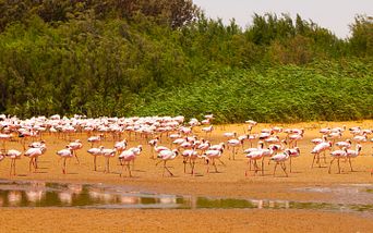transozean von kapstadt bis mallorca