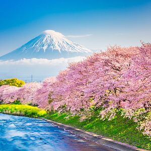 Mount Fuji Kirschblüte Japan