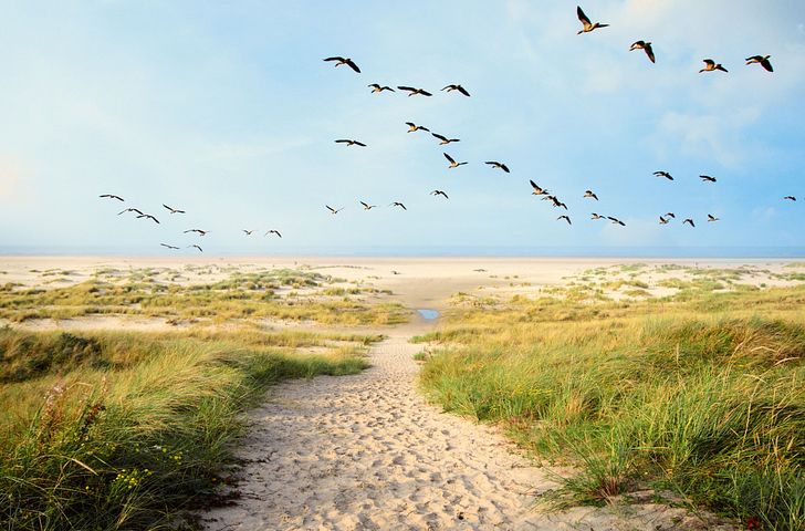 Impression zu Sommer 2027 - Mein Schiff 7 - Kleine Juwelen der Ostsee