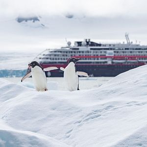 Die MS Roald Amundsen mit Adélie Pinguinen © Ted Gatlin