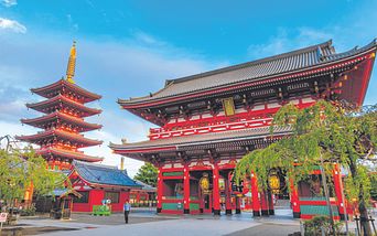 große japan-rundreise zur frühlingsblüte