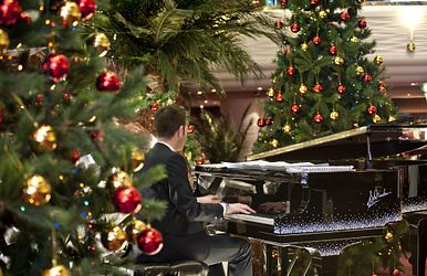 karibische traumreise