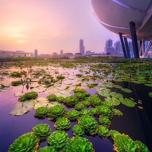 Singapur_AdobeStock_163685700 © boule1301_abo