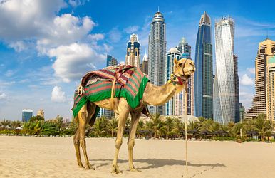 10 kuriose fakten über dubai