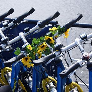 PRINCESS - Ohne Reederei - PRINCESS