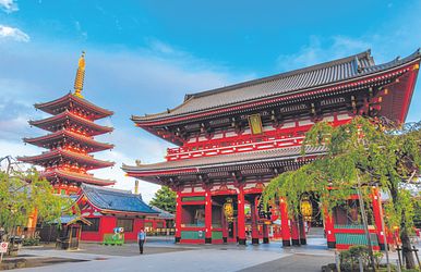 große japan-rundreise zur frühlingsblüte