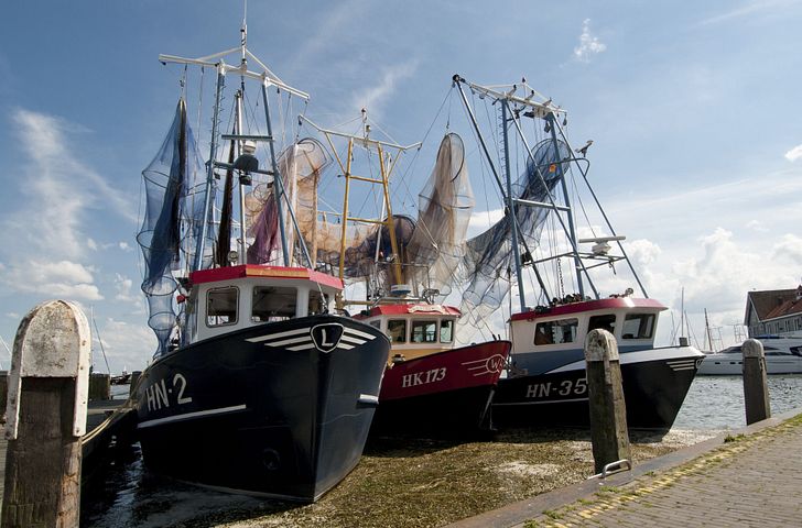 Impression zu Winter 2026/27 - MSC Preziosa - Nordsee-Abenteuer