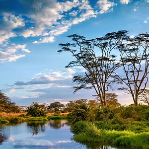 Lemuren auf Madagaskar