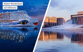 aida winter wonderland