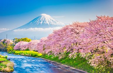 Mount Fuji Kirschblüte Japan