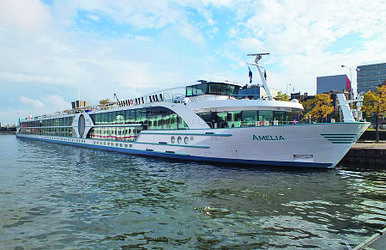 ms amelia
