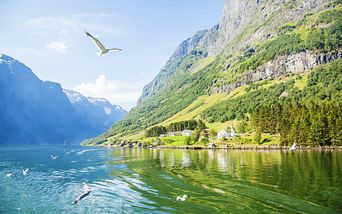norwegens fjorde