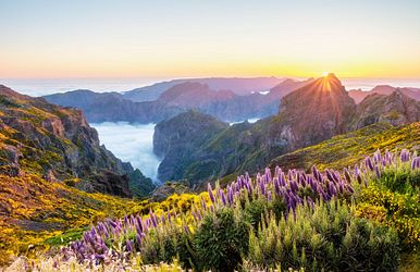 kanaren, madeira & marokko