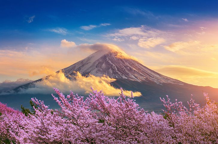 Impressionn zu Norwegian Cruise Line - Norwegian Jade - Japan